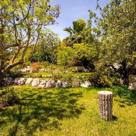 Almandrina By Interhome Villa Jávea